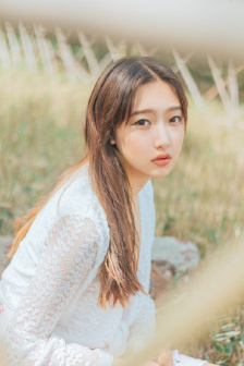 贪婪:欲望之岛